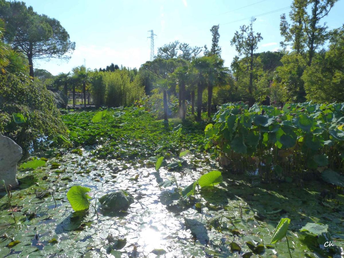 In Lignano 21634